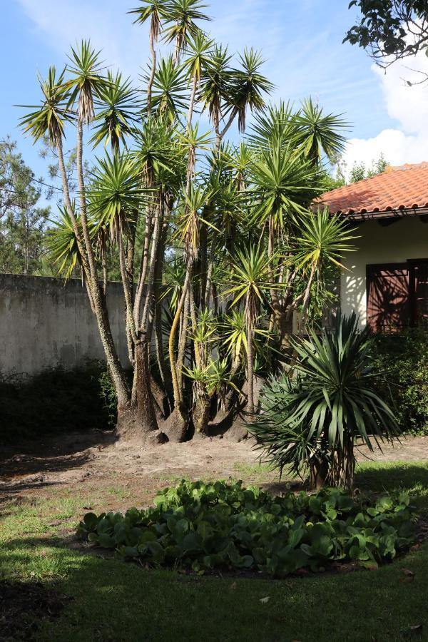 A Quinta Duna Villa Salir de Porto Exterior photo