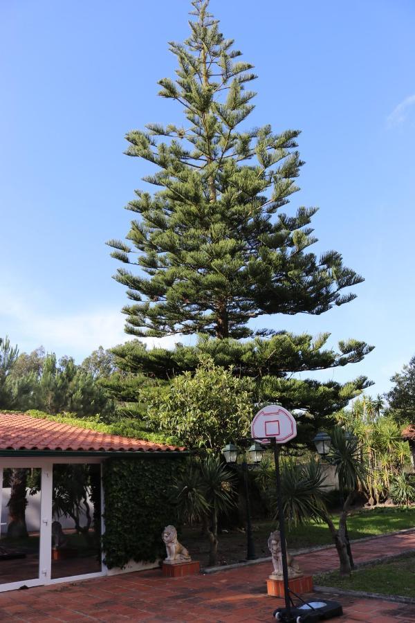 A Quinta Duna Villa Salir de Porto Exterior photo